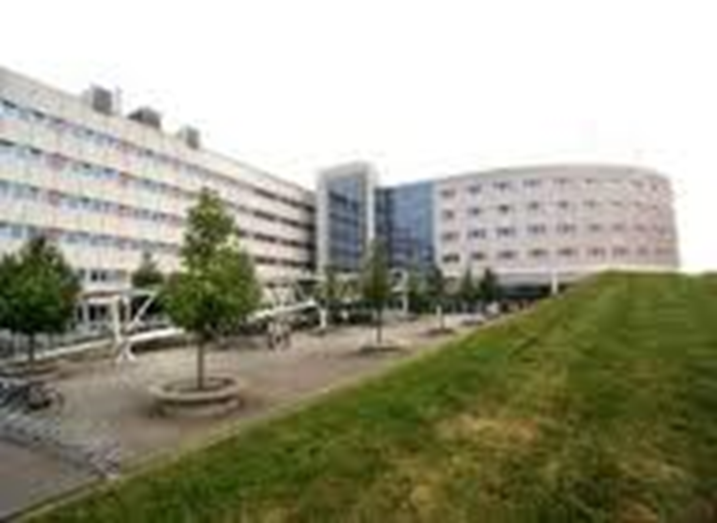 Bouw Vivarium aanstaande, UNS50 op de schop